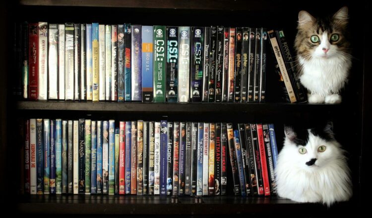 Wann wurde der DVD-Player erfunden? - wann-wurde.de